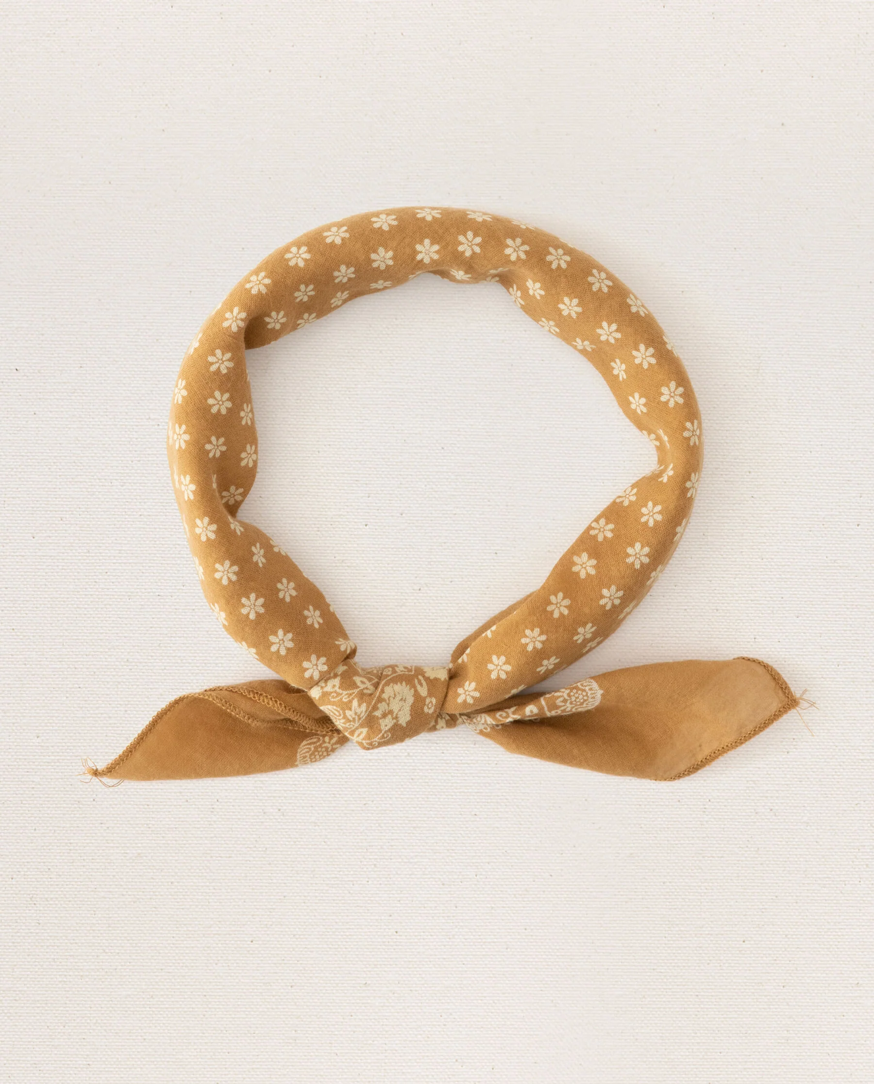 2503-the-bandana.-small-marigold-2.webp The Bandana. -- Small -- Marigold