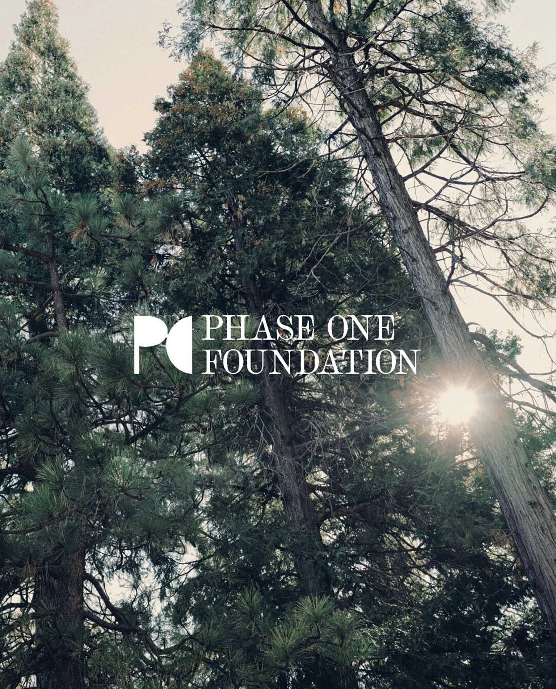 2635-phase-one-donation-match-1.webp Phase One Donation Match