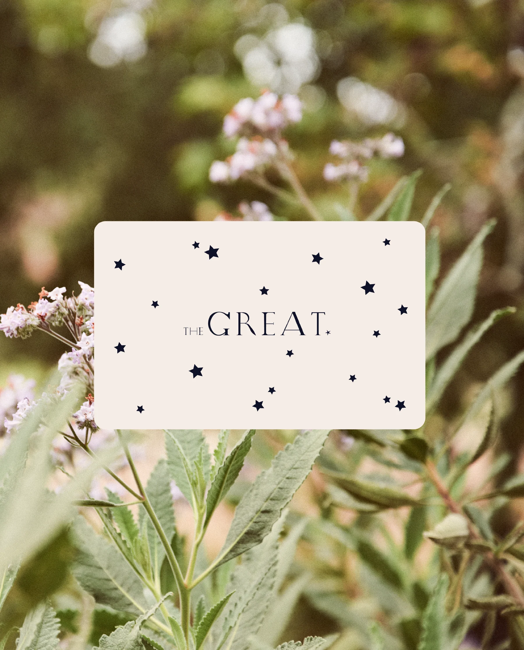 3346-gift-card-1.webp Gift Card